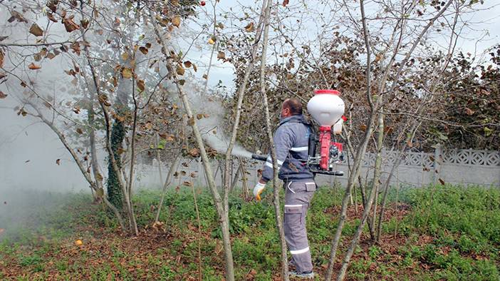 Osmanlı'da salgın hastalıklara karşı kullanılıyordu: 'Yaşayan toprak' diye biliniyor 6